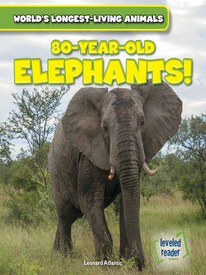 cover image of 80-Year-Old Elephants!